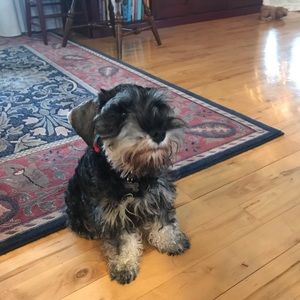 Meet your Posher, Jen